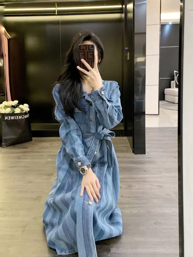 Denim dress for women spring 2023 new temperament, high-end, small, age-reducing, mid-length skirt (D0955)