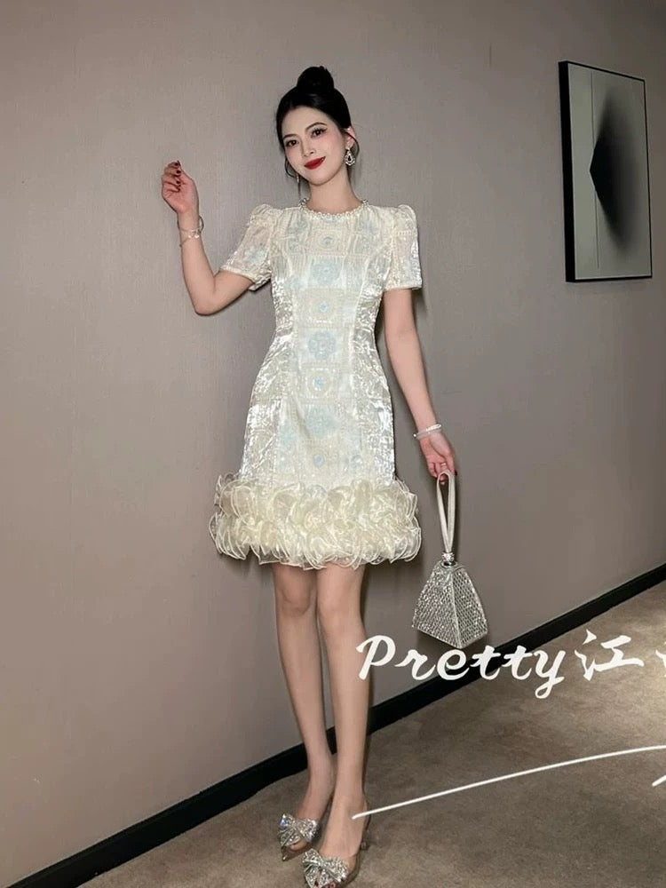 High-end, sophisticated, shimmering dress with mesh lace trim, embroidered and beaded embroidered skirt.