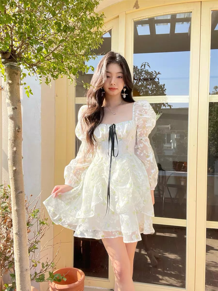 Lay Egg Meow 2022 Spring/Summer Fresh Green Flower Burning Flower Double Layer Long Sleeve Bandage Gauze Skirt Small Dress Skirt Dress