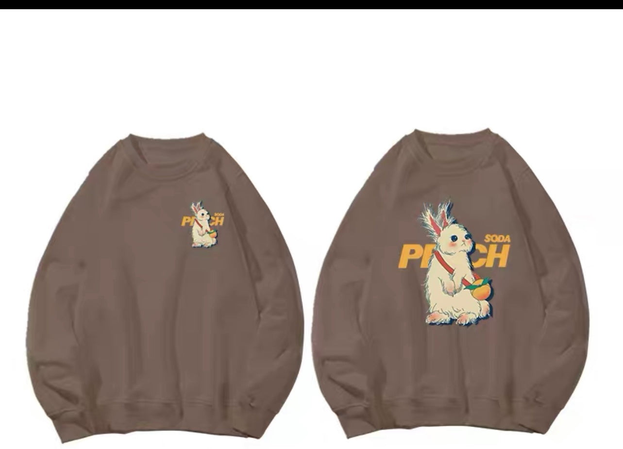 Different couple sweatshirt autumn and winter 2023 new style early autumn super hot special high-end outer suit for men (N0217)