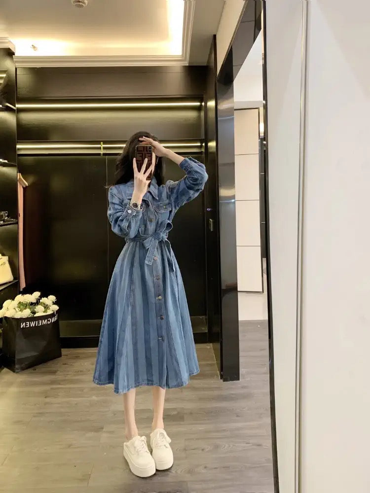Denim dress for women spring 2023 new temperament, high-end, small, age-reducing, mid-length skirt (D0955)
