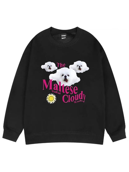 Sweatshirt men's spring and autumn thin loose youth hiphop trendy brand long-sleeved T-shirt oversize new round neck