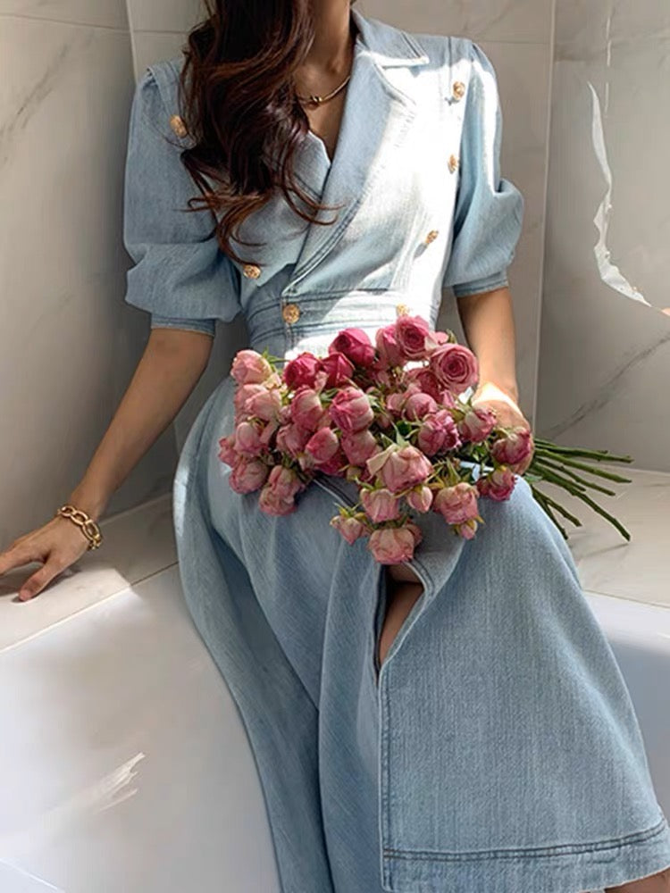 2023 Spring and Autumn New Korean Style Chic Double-breasted Long Skirt Feminine Retro Lady Noble Denim Dress