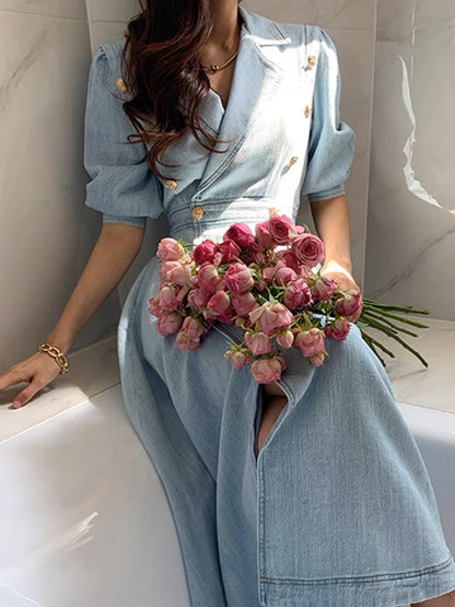 2023 Spring and Autumn New Korean Style Chic Double-breasted Long Skirt Feminine Retro Lady Noble Denim Dress