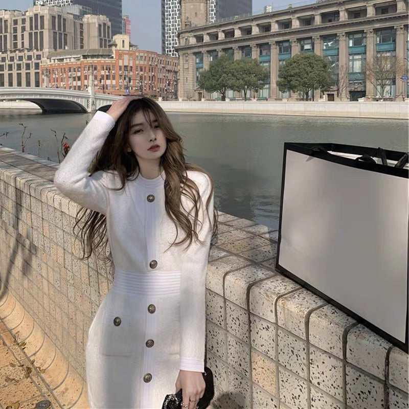 2023 autumn and winter Hepburn style French high-end socialite temperament slim bottoming mink plush dress