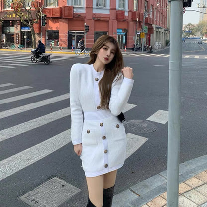 2023 autumn and winter Hepburn style French high-end socialite temperament slim bottoming mink plush dress