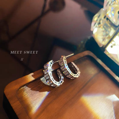 High-end sense earrings sterling silver needles simple cold wind earrings women's exquisite small earrings 2023 new trend