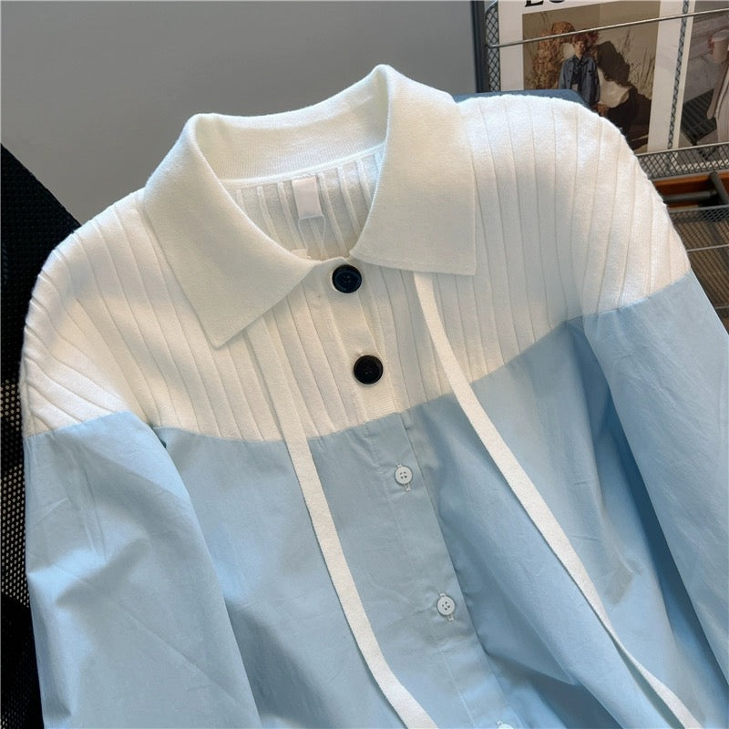 Taro purple shirt for women 2023 autumn design niche mid-length loose casual long-sleeved polo collar top