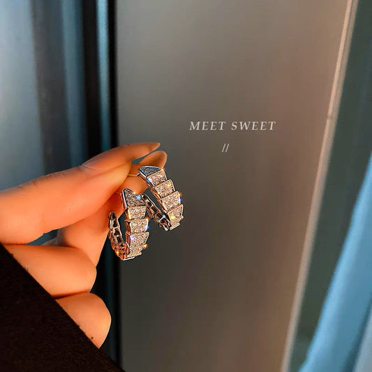 High-end sense earrings sterling silver needles simple cold wind earrings women's exquisite small earrings 2023 new trend