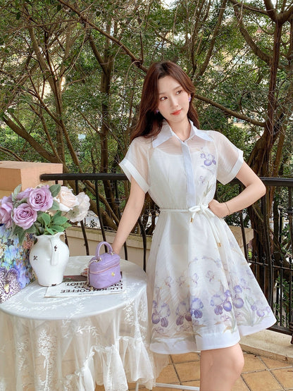 Zhang Xinzi [Spring and Bright Scenery] Printed shirt dress for women, new summer style, French lady skirt, mid-length