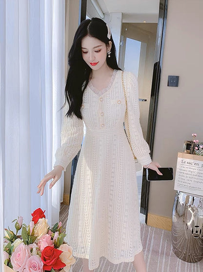 Lace dress with coat, women's autumn and winter waist-cinching inner skirt, winter style velvet thickened fairy long skirt (S3338)