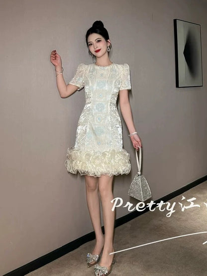 High-end, sophisticated, shimmering dress with mesh lace trim, embroidered and beaded embroidered skirt.