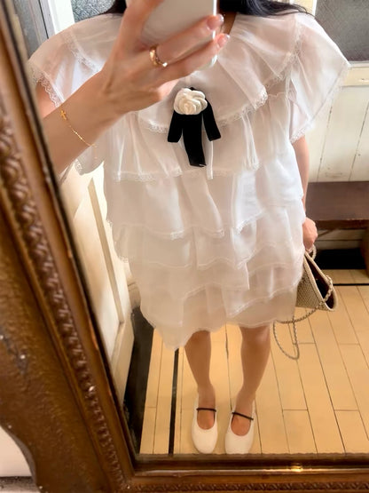 Distinctive and Unconventional Style: Stunning 2026 Dress Featuring White Lace Paneling and a Unique Silhouette—Perfect for Petites.