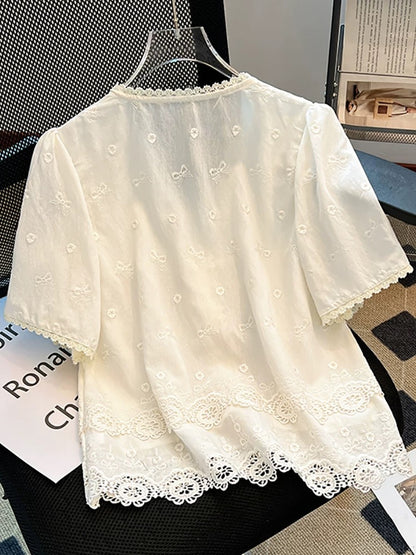 Self-retained model recommendation ~ French lace hollow embroidery V-neck short-sleeved shirt female 2025 summer stylish age-reducing top