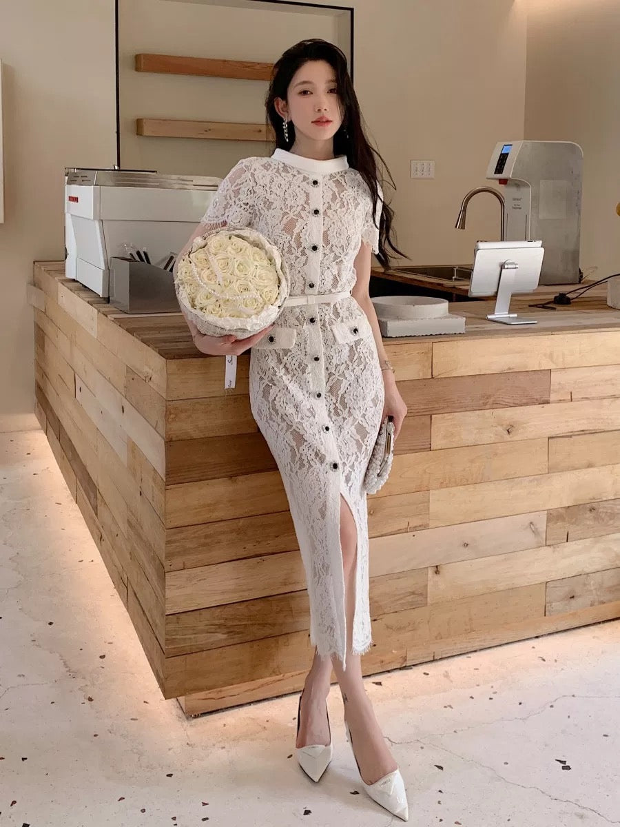 New women's French retro high-end elegant eyelash lace dress high-waisted slim long skirt dress