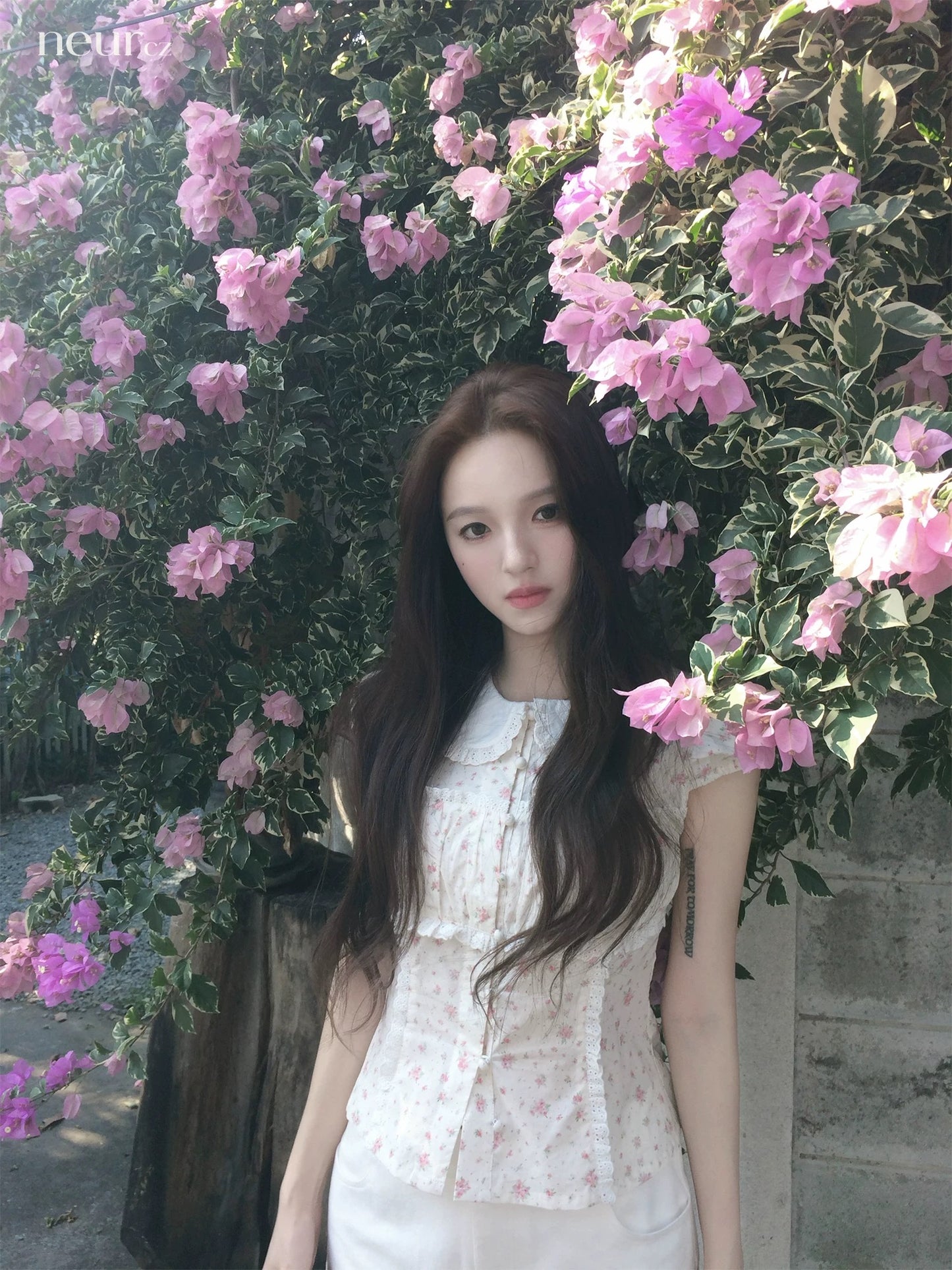 neurcz Floral Peter Pan Collar Short-Sleeve T-Shirt Women's Spring Pure Cotton Embroidered Ruffled Top Slimming