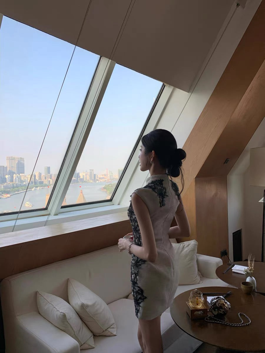 Barb Chill New Chinese Style Cheongsam Dress for Women, Early Spring Elegant Birthday Dress, Lace Bodycon Skirt