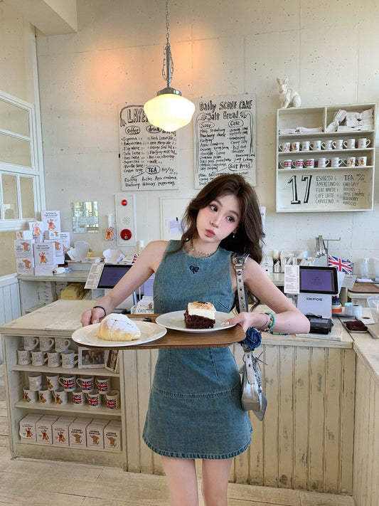 Eight-cover pinky piggy youth album retro denim embroidered dress women's niche waist skirt