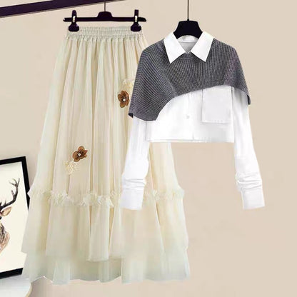 Autumn skirts, salt series, wear, slimming, age-reducing tops, small skirts, fashion suits, women's autumn and winter two-piece suits