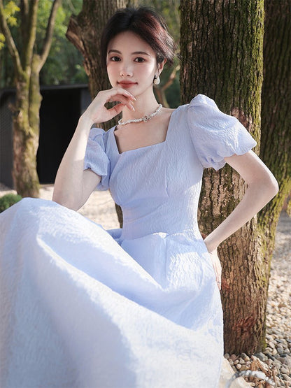 The plum is ripe [Yunxiang] embossed jacquard French dress spring new high-end temperament a-line long skirt