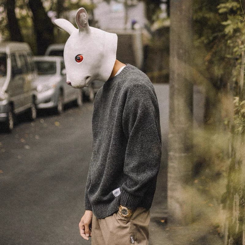 Rabbit Xiansen Spring and Autumn Solid Color Round Neck Sweater Men's Loose Japanese Trendy Retro All-Match Casual Long-sleeved Knitwear