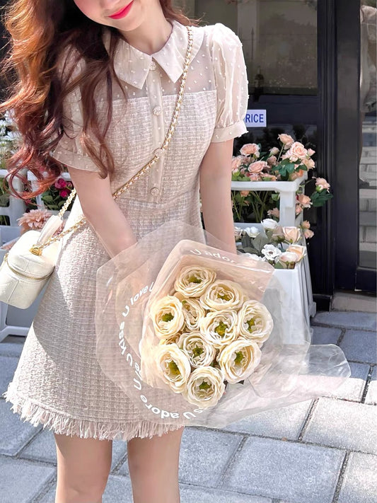 Q women's rum sparkling water / khaki thin doll collar dress female small summer 2022 new